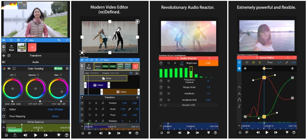 Professional-like Video Editor such as Node Video Editor is a Good choice with many expert features