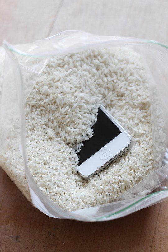 rice absorb remaining water on speaker