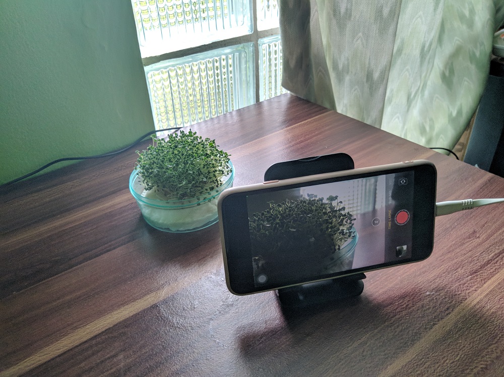 use phone stand when using time lapse